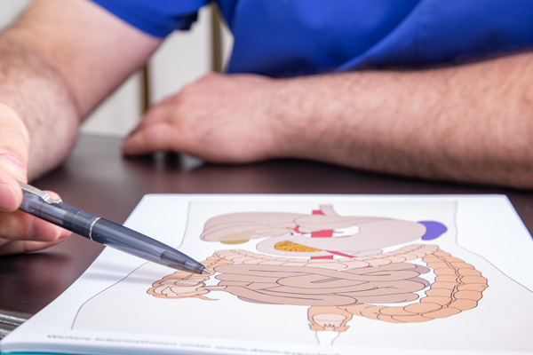 Schaubild Magen-Darm-Trakt