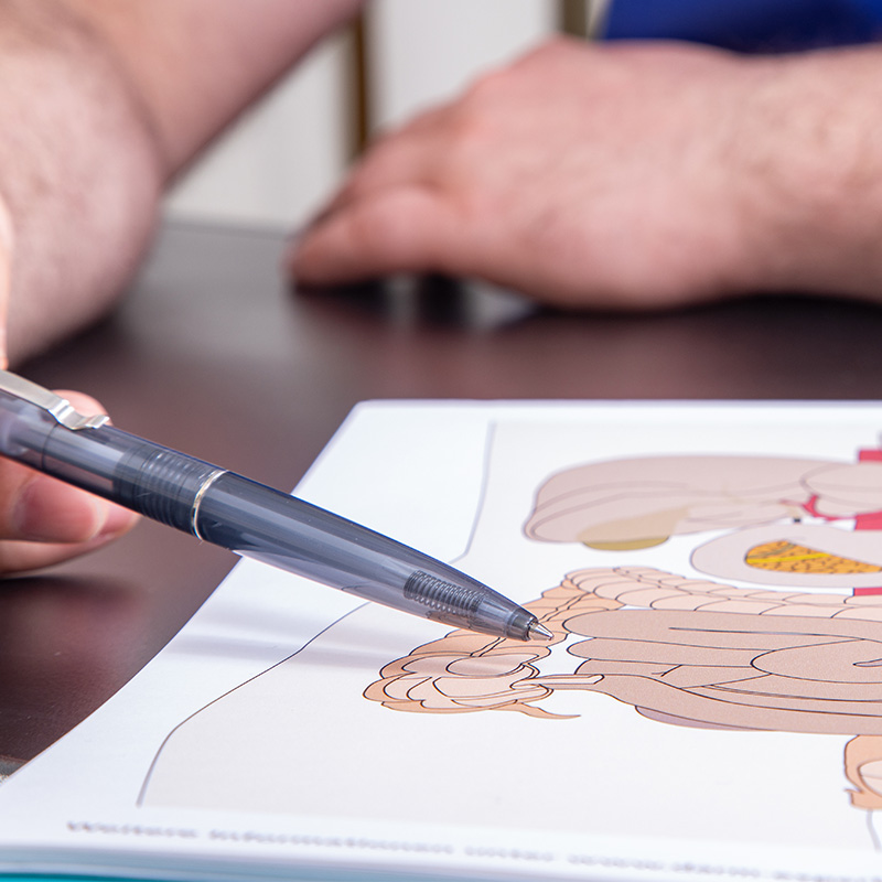 Schaubild f&uuml;r Magen-Darm-Erkrankungen